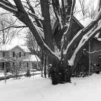         SpearSnowScene345.jpg; Werme house and barn at 671 Spear Street
   