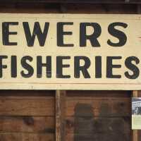         Sewers Fisheries sign, presumed to be Dan Cook; Hanging inside the Shanty, May 2021
   