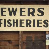 Commercial fishing signs and net