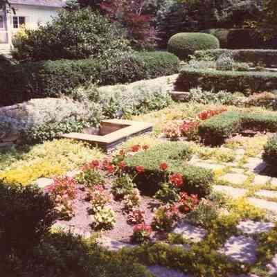 Mann0106-Jul75.JPG 228KB: Sample image from Mann's garden and house photos