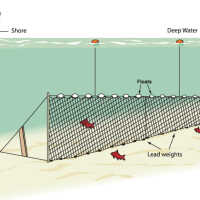          Floats for Gill Nets picture number 2
   