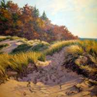 Sandtracks by Debra Reid Jenkins