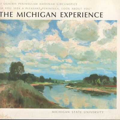 The Michigan Experience