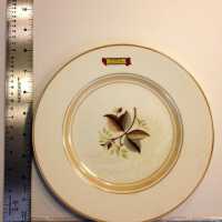 Plate