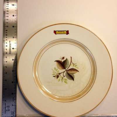 Plate