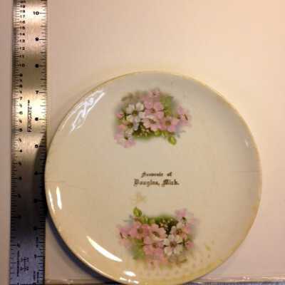 Plate