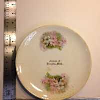 Plate