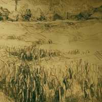 Rural Scene