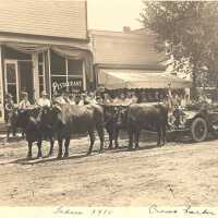 Oxen pulling car