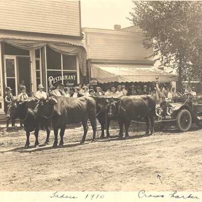 Oxen pulling car