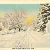 Winter Scene in Saugatuck