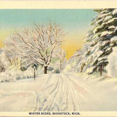 Winter Scene in Saugatuck