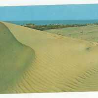 For a Real Vacation...Relax at Saugatuck, MI