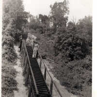          Mt. Baldhead Steps; Origsize: 3 x 4.5; Origformat: Print-Photographic
   