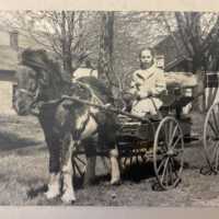          Photo of girl in pony cart
   