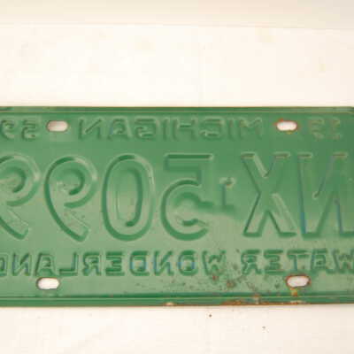 license plate (back): Origsize: 13 1/2 x 25"; Origformat: Other