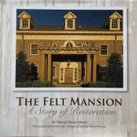          The Felt Mansion picture number 1
   