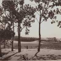 Sand dunes