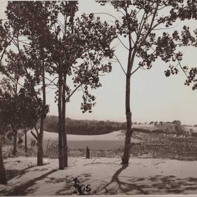Sand dunes