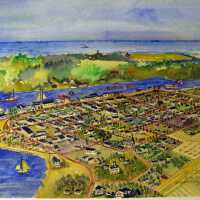          watercolor bird's eye saugatuck; Origsize: 14