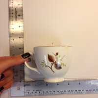 Teacup