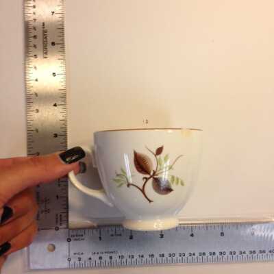 Teacup