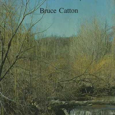Michigan: A bicentennial history