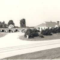 Pine Crest Cabins and Meals