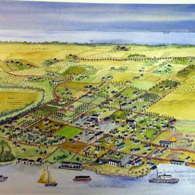 Douglas  bird's eye painting: Origsize: 14"x11"