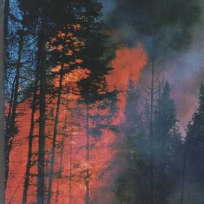 Michigan on fire