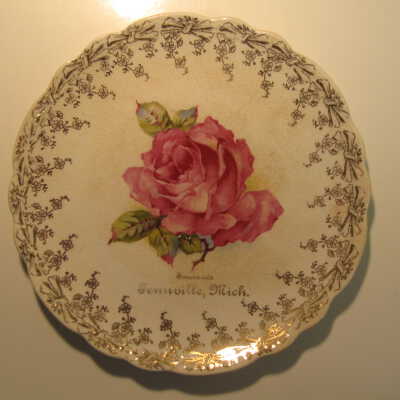 Souvenir of Fennville, MI