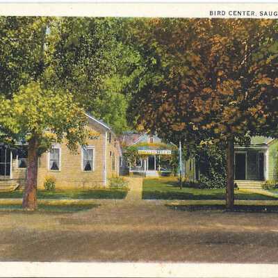 Bird Cottages #2