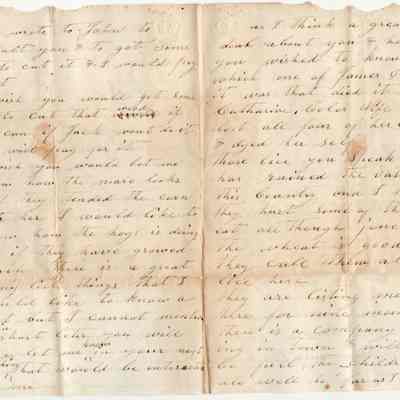 Joseph Throckmorton to Laura Throckmorton, letter (1862): See WEB LINKS to DOWNLOAD high-resolution image.
