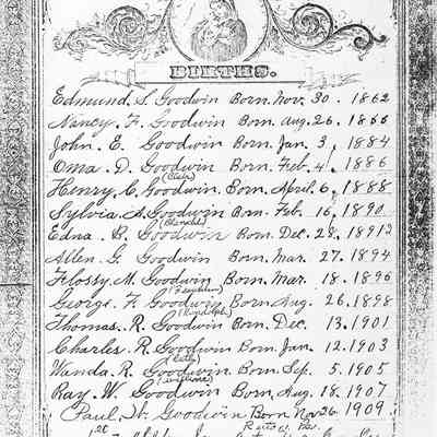Edmund S. Goodwin and Nancy F. (McGlumphy) Goodwin Family Bible - Page 02