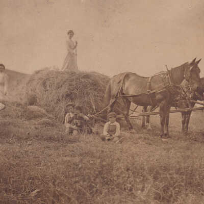 William Harvey Throckmorton and Lucy Jane (McGlumphy) Throckmorton Family