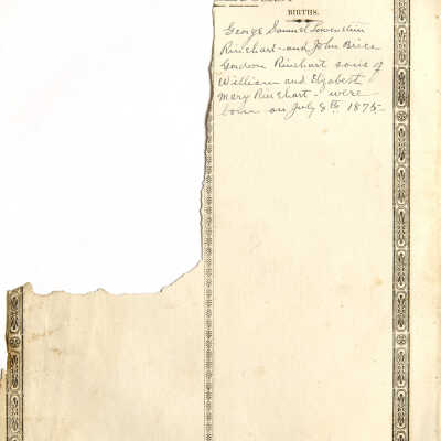 William Rinehart and Mary Elizabeth (Porter) Rinehart family bible records - Page 8