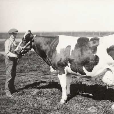 Frank Leslie “Les” Morris Jr. [1907-2007], age 12, with Champion Tilly Alcartra [1908-1924]