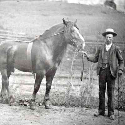 Stephens Album, Photo 33