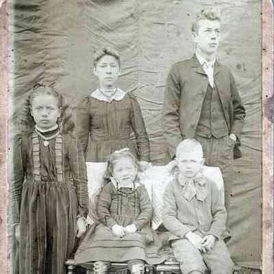 David Delaney and Hester Jane (Headlee) Delaney family