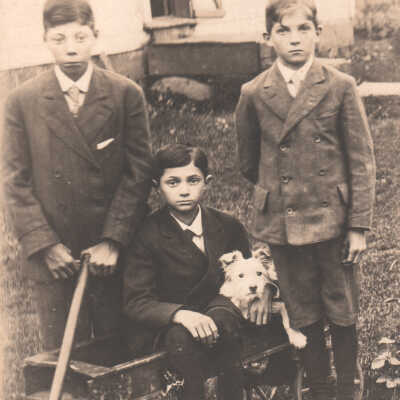 Unidentified boys and dog in wagon