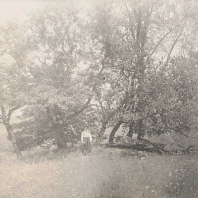 Frank Jones Album (Selected Photos) - Mound on the Crow farm along Wheeling Creek, Greene County, Pennsylvania