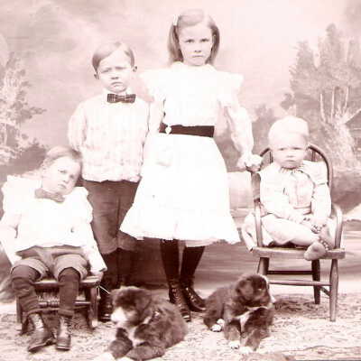 Johnson Album 01, Photo 37 - Unidentified