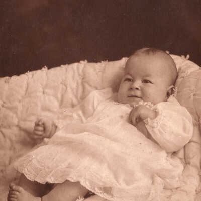 Robert Williamson