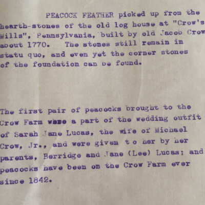 Peacock feather from Crow farm in Greene County, Pennsylvania: Origformat: Print-Photographic