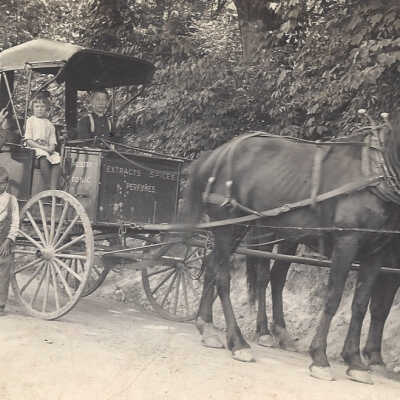 Children of John Wesley White & Ida Hostutler at work with their cousin Harry