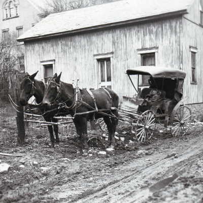 Ivyhurst - Carriage house