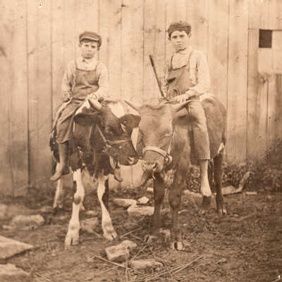 Sons of William Harvey Throckmorton & Lucy Jane McGlumphy