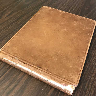 Leroy Woods Cleavenger journal, 1857