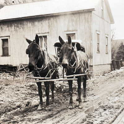 Ivyhurst - Carriage house