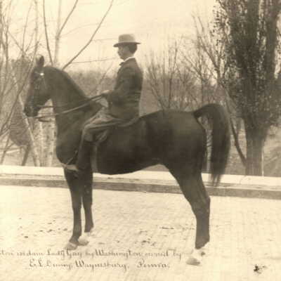 Eleazer Luse Denny [1865-1910] and his horse "Gay"